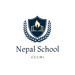 Shree Chidipani Secondary School